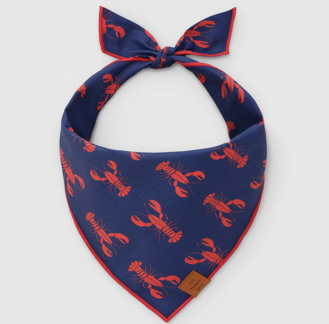 Catch if the Day dog Bandana