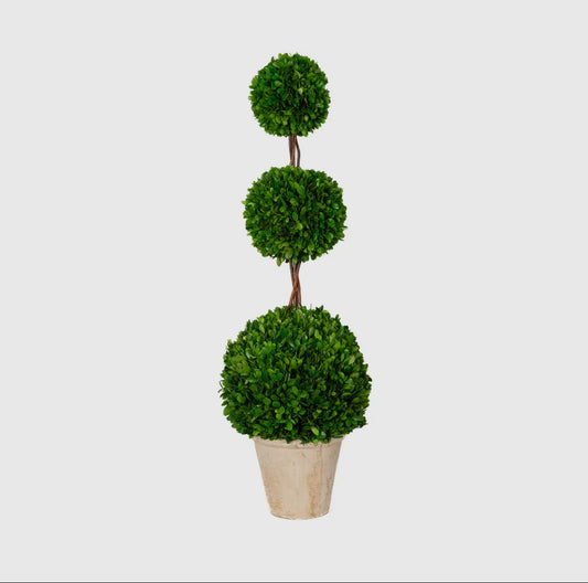 Preserved Boxwood Topiary ~ Triple Ball - 40”