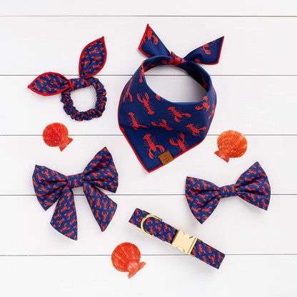 Catch if the Day dog Bandana
