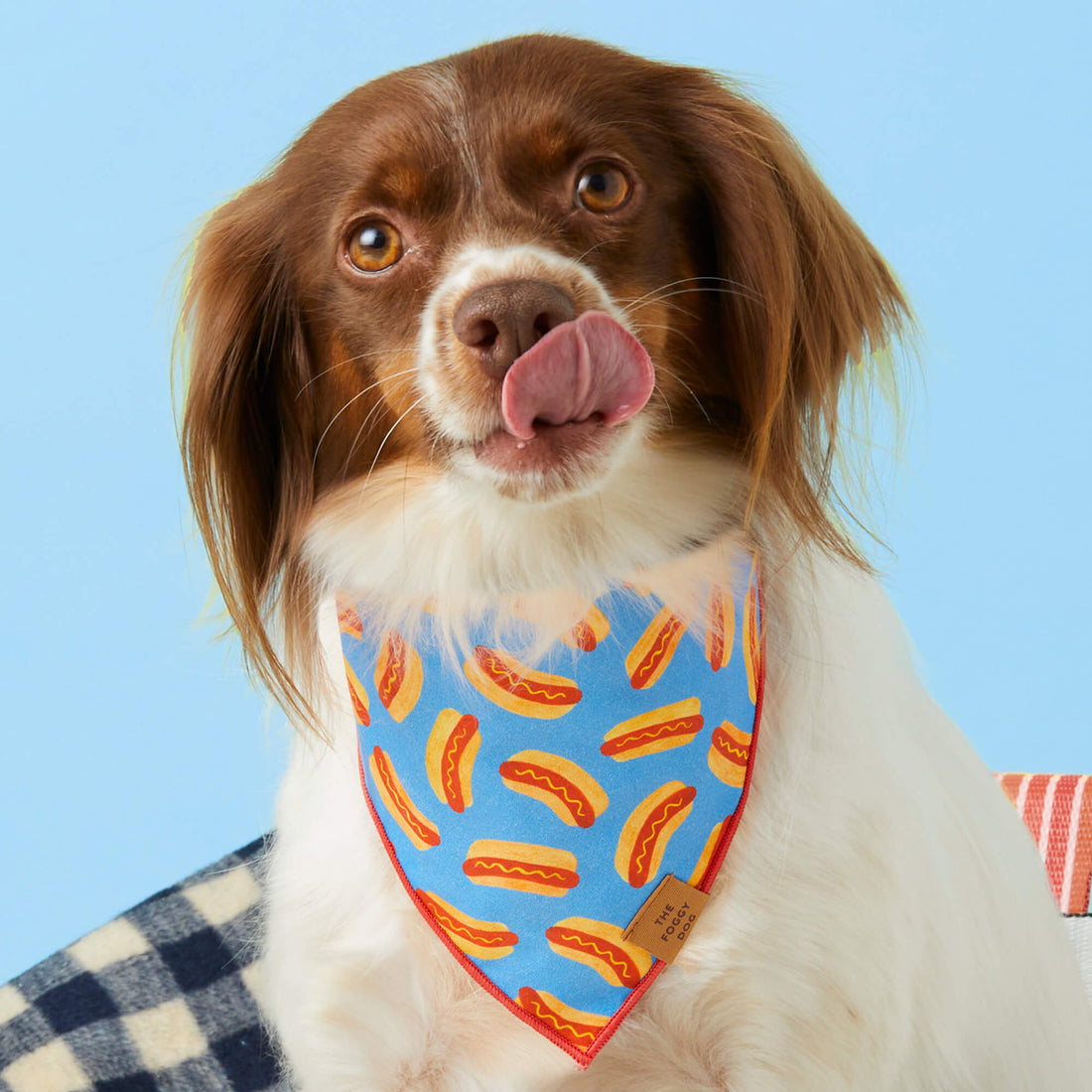 Hot Diggity Dog Bandana